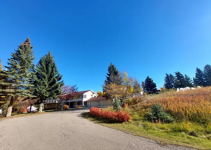 Guest house: Green Village