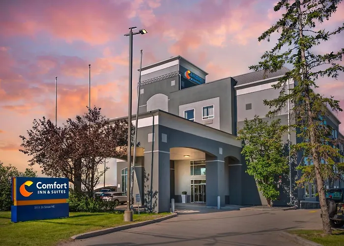 Comfort Inn & Suites Airport South